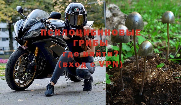 ешки Горнозаводск