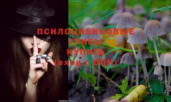 МДПВ Пестово
