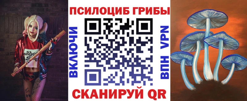 hydra Партизанск Галлюциногенные грибы Psilocybe купить закладку